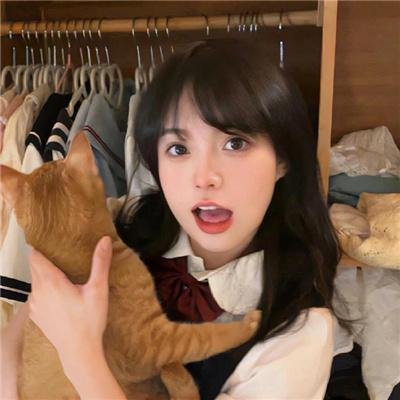 狗也爱钻石